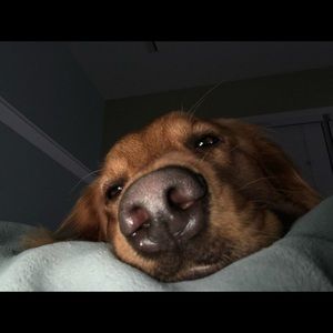 Meet your Posher, Jodi